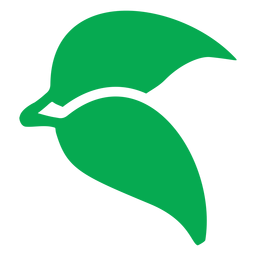 Icono de dos hojas verdes Diseño PNG
