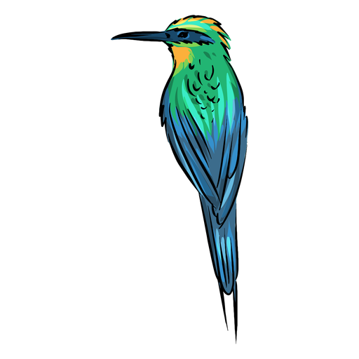 Fantastischer bunter Kolibri PNG-Design