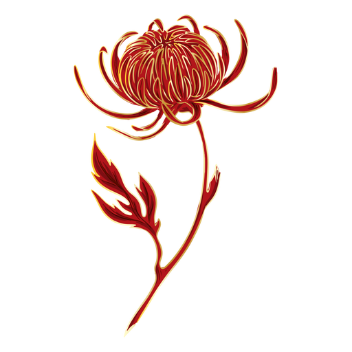 Ilustración de flor de crisantemo Diseño PNG