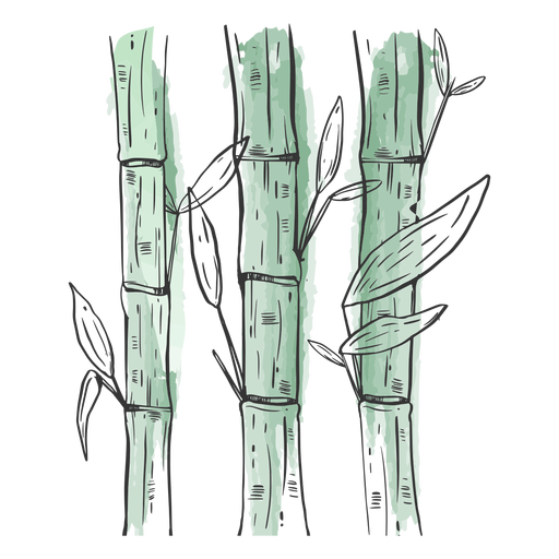 Bambus gezeichnet fantastisch PNG-Design