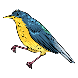 Blue yellow flycatcher bird PNG Design