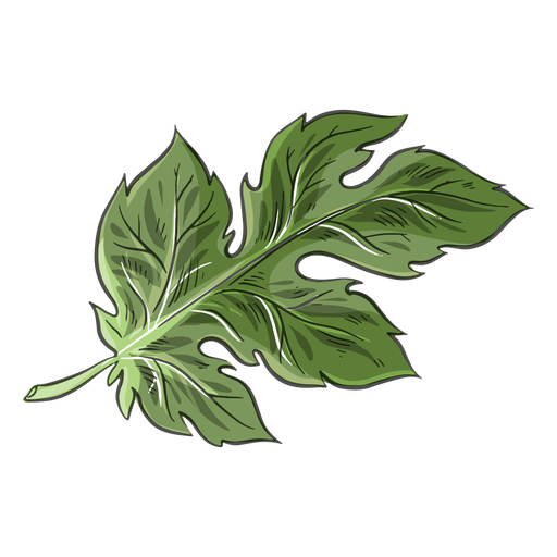 Chinese green crysanthemum leaf PNG Design