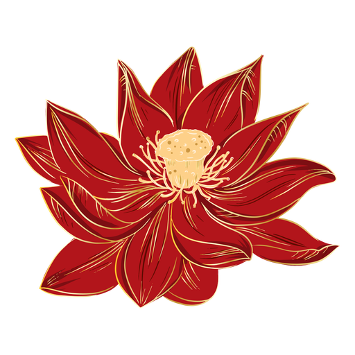 Flores de hibisco chino Diseño PNG