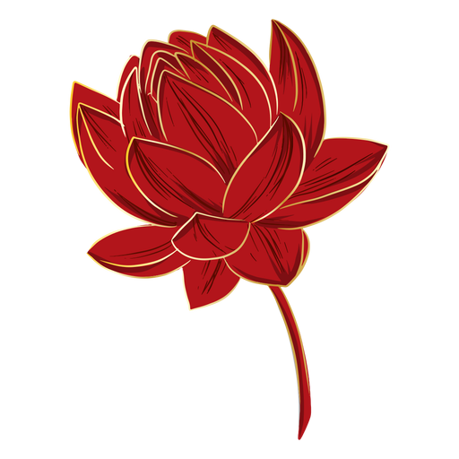 Download Chinese lotus flower - Transparent PNG & SVG vector file