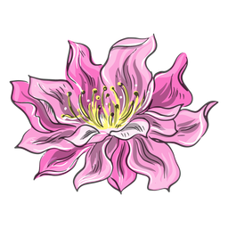 Impresionante flor rosa china Diseño PNG