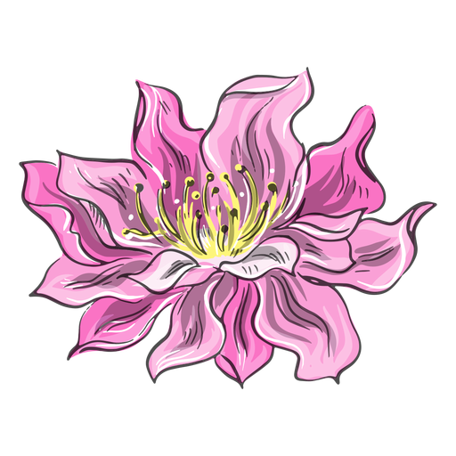 Flor rosa chinesa impressionante Desenho PNG