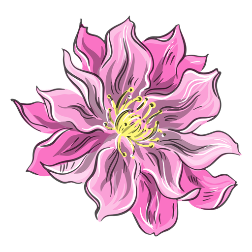 Chinesische rosa Blume schön PNG-Design