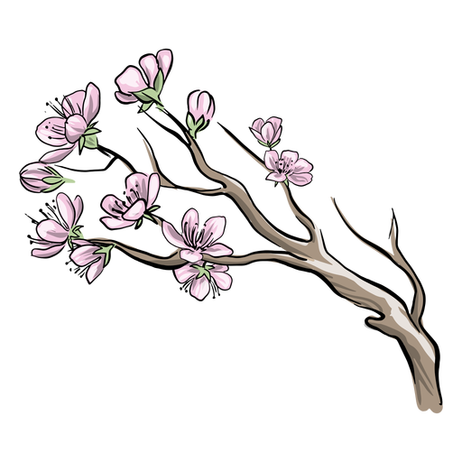 Chinesische Pflaumenblüten PNG-Design