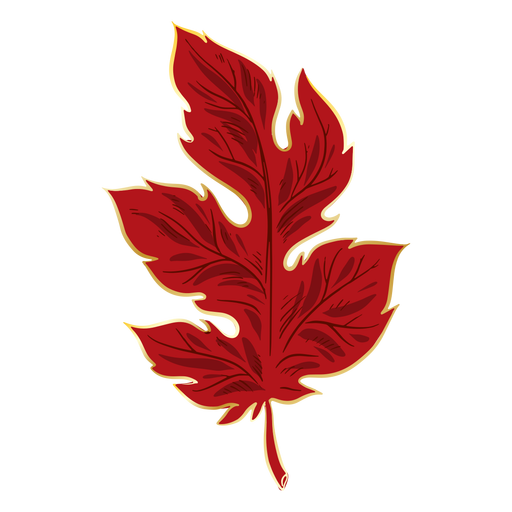 Folha vermelha de crisântemo Desenho PNG
