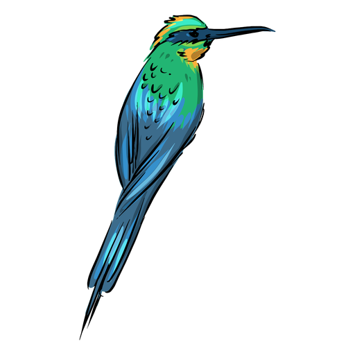 Bunter Kolibri süß PNG-Design