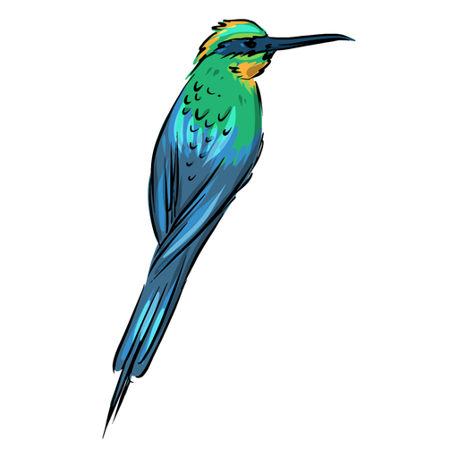 Colibrí colorido lindo Diseño PNG