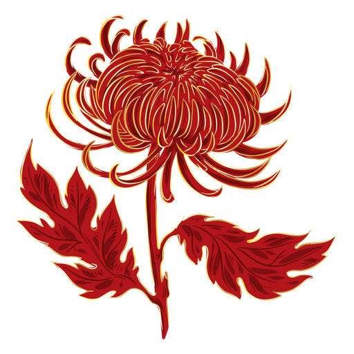 Crisantemo fuego como flor Diseño PNG