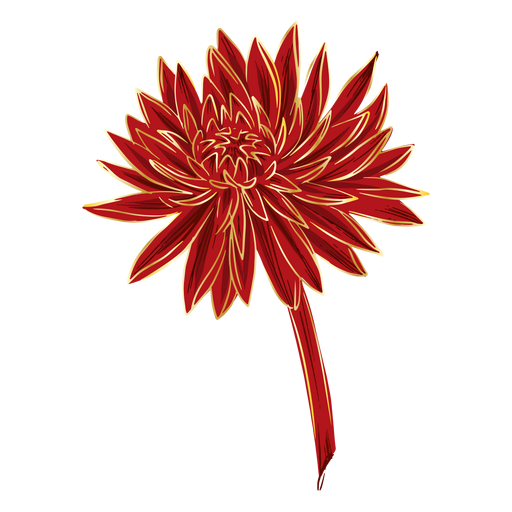 Flor simples de crysanthemum Desenho PNG