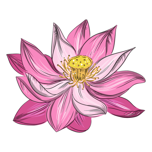Cute chinese pink flower PNG Design