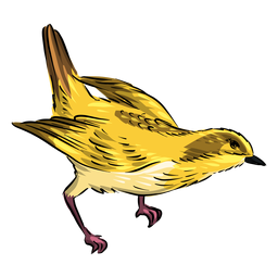 Cabeza hacia abajo pájaro papamoscas amarillo Diseño PNG