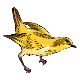 Head down yellow flycatcher bird PNG Design Transparent PNG