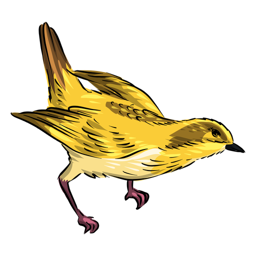 Head down yellow flycatcher bird