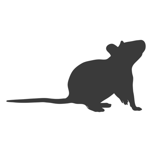 Rato olhando a silhueta Desenho PNG