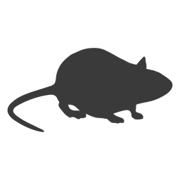 Silueta de vista lateral del mouse Diseño PNG