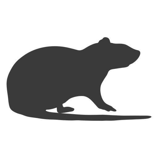 Mouse silhouette side view PNG Design