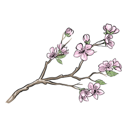 Bonitas flores de ciruelo chino Diseño PNG