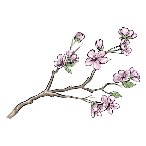 Hübsche chinesische Pflaumenblüten PNG-Design