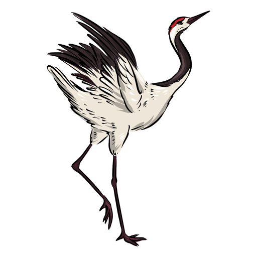 Pretty crane bird PNG Design