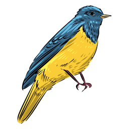 Pretty flycatcher bird PNG Design Transparent PNG