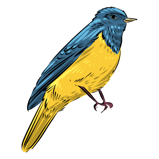 Hübscher Fliegenfängervogel PNG-Design