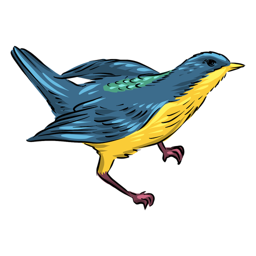 Download Side view blue yellow flycatcher bird - Transparent PNG ...