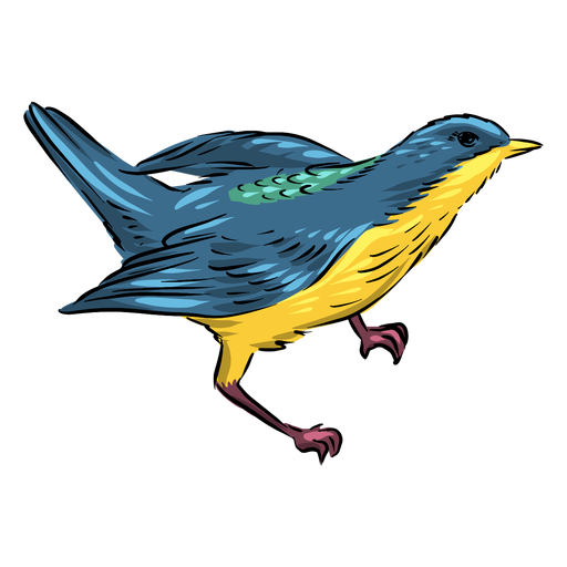 Vista lateral pájaro papamoscas amarillo azul Diseño PNG