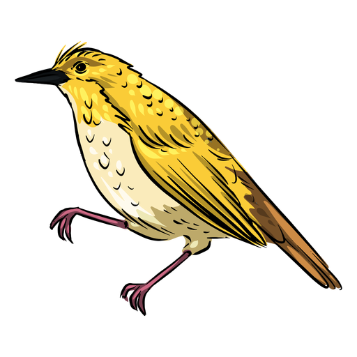 Gelber Fliegenfängervogel der Seitenansicht PNG-Design