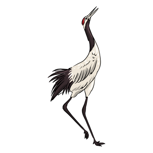 Tall crane bird PNG Design