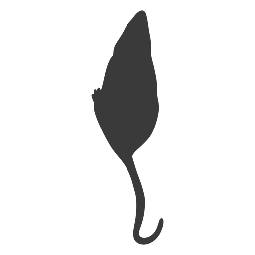 Top view mouse silhouette PNG Design