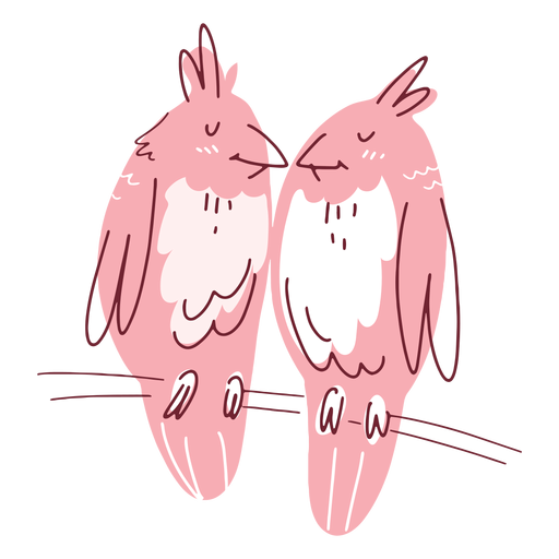 Valentinsgruß-Vögel-Paar PNG-Design