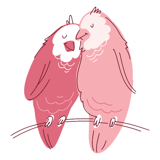 Pareja de pájaros lindos de San Valentín Diseño PNG