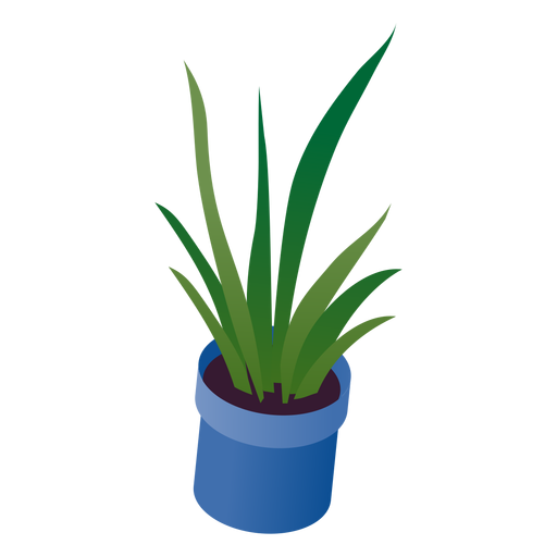 Valentines potted plant isometric