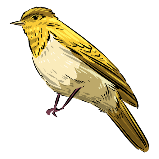 Pájaro papamoscas amarillo Diseño PNG