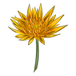 Yellow Simple Crysanthemum Flower PNG & SVG Design For T-Shirts