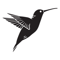 Animal colibrí negro Diseño PNG