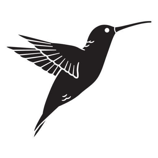 Animal colibr? negro