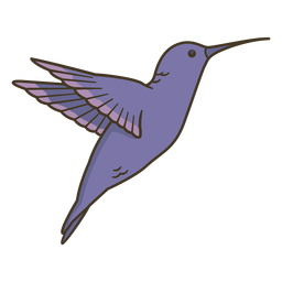 Ilustración de colibrí animal Diseño PNG