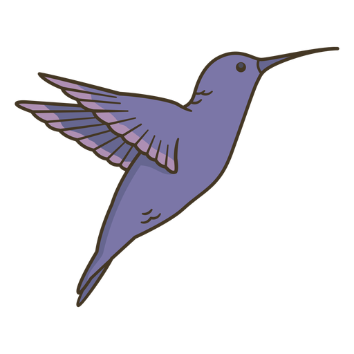 Animal hummingbird illustration PNG Design