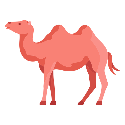 Ilustración de camello Diseño PNG