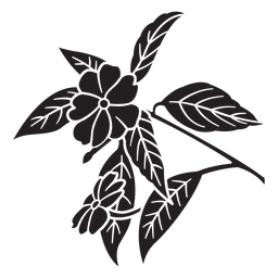 Flores planta negro Diseño PNG