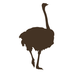 Silueta de avestruz vista posterior Diseño PNG