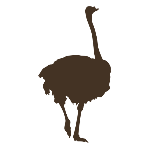 Silhueta de avestruz vista traseira Desenho PNG