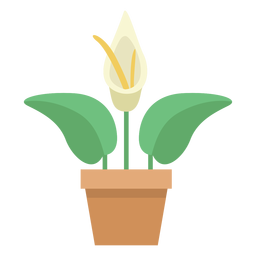 Planta de antúrio fofa Desenho PNG