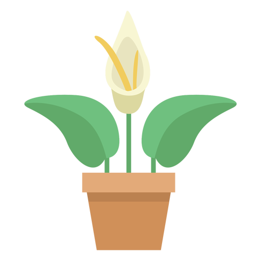 Niedliche Anthuriumpflanze PNG-Design