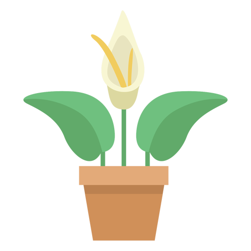 Planta de antúrio fofa Desenho PNG